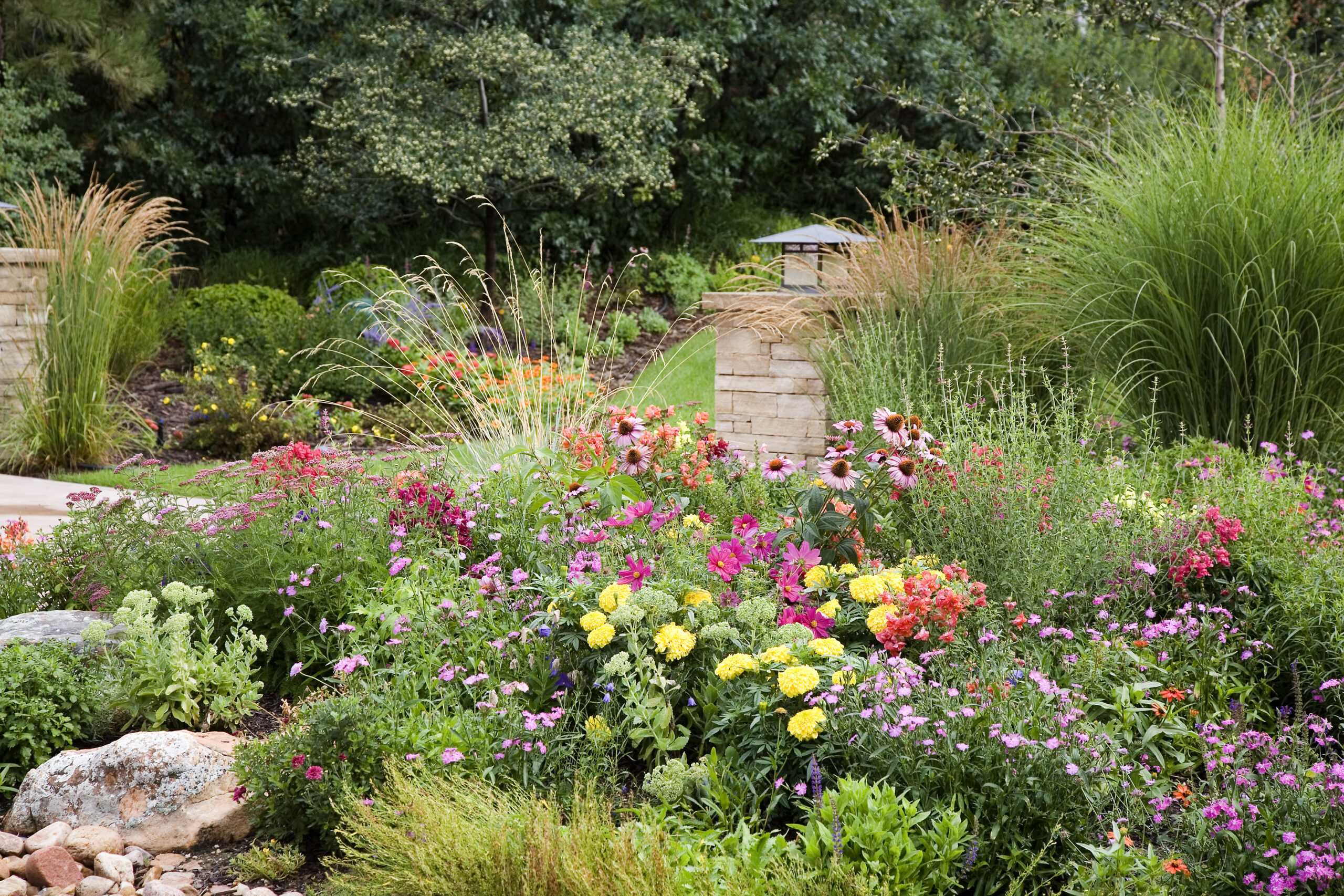 The All-Star Plant Categories for Denver Gardens