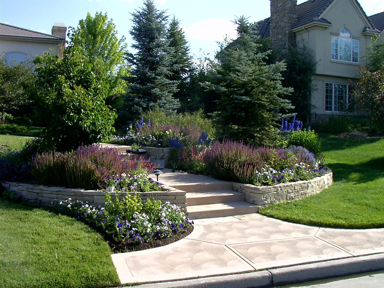 Ready to Get Started? Let’s Make Your Denver Garden Flourish