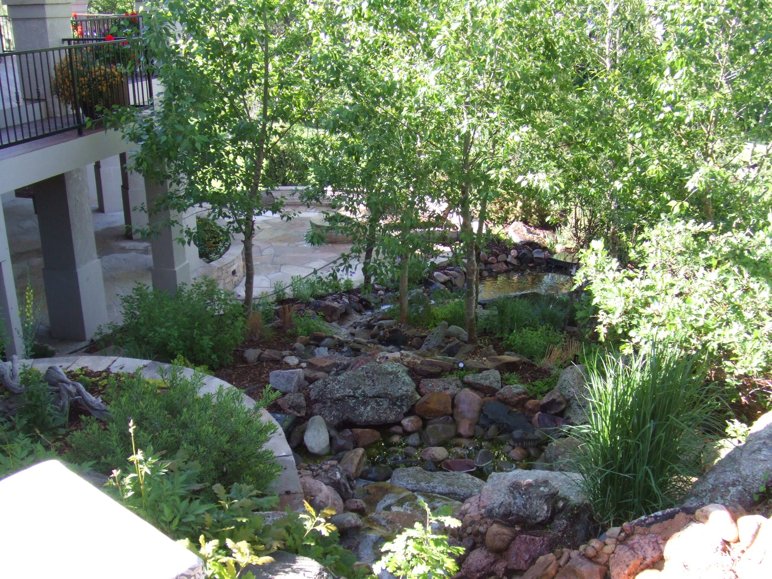 Understanding Denver’s Regulations & Environmental Context