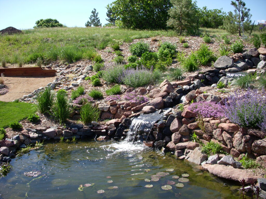 Water-Wise Hardscape & Drainage Solutions: Adapting to Denver’s Aridity