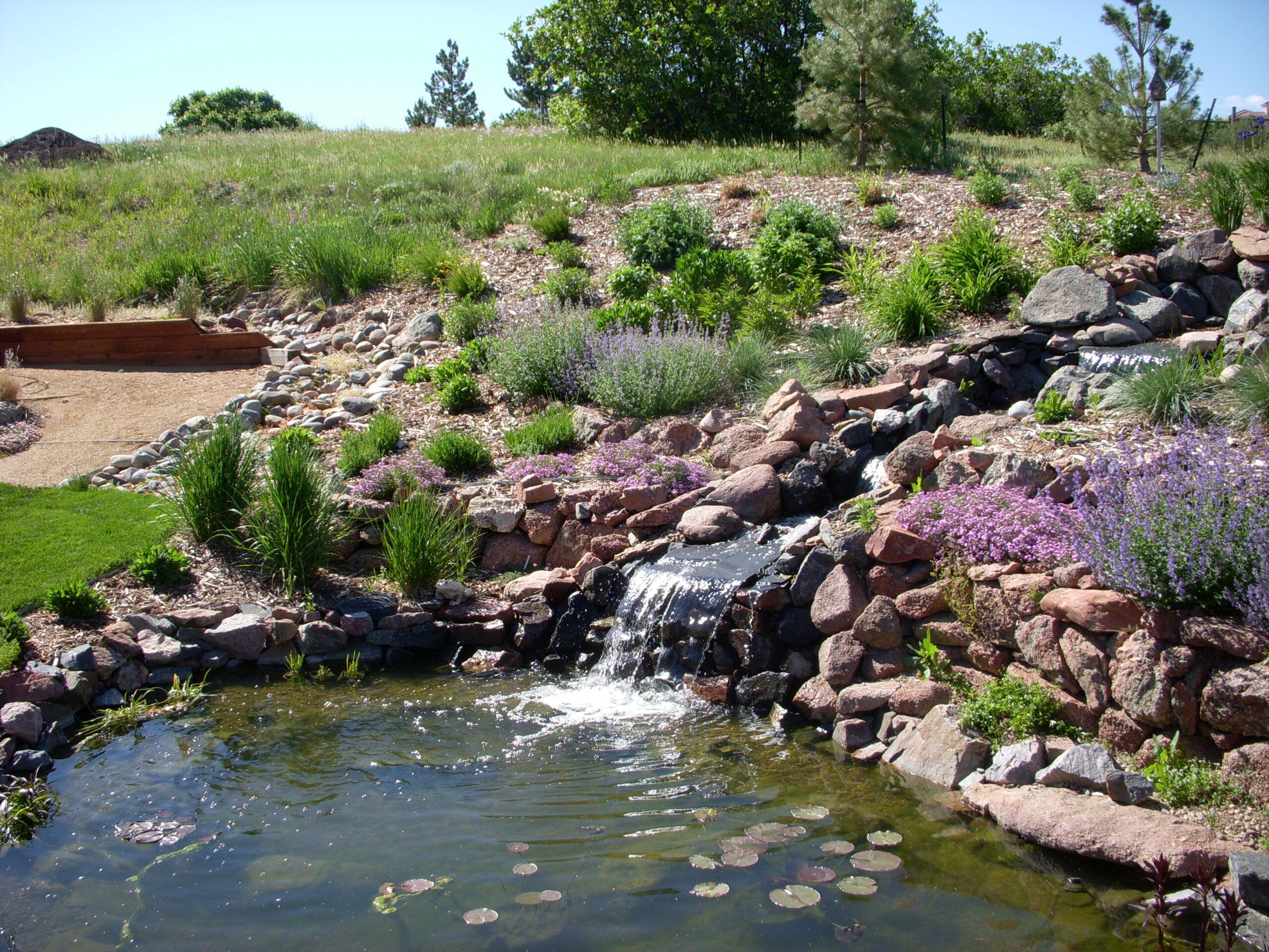 Water-Wise Hardscape & Drainage Solutions: Adapting to Denver’s Aridity