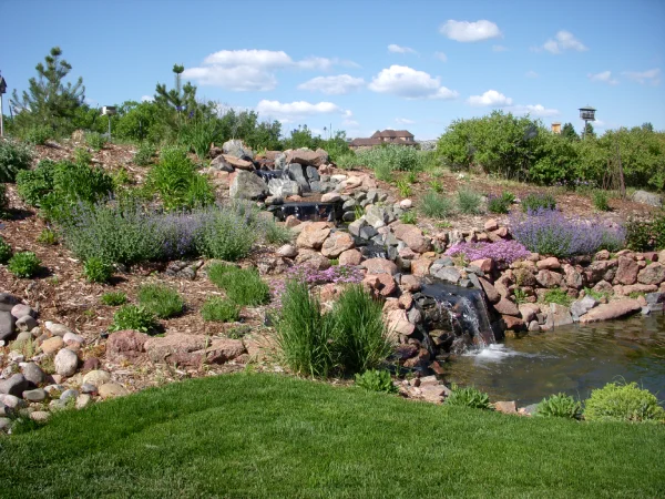 Colorado Xeriscape Plants Worth Knowing: A Curated Front Range List