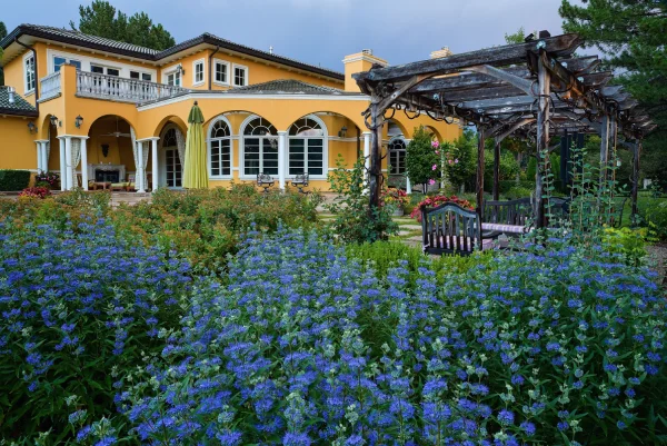 Why Denver Homeowners Are Converting to Xeriscape Now